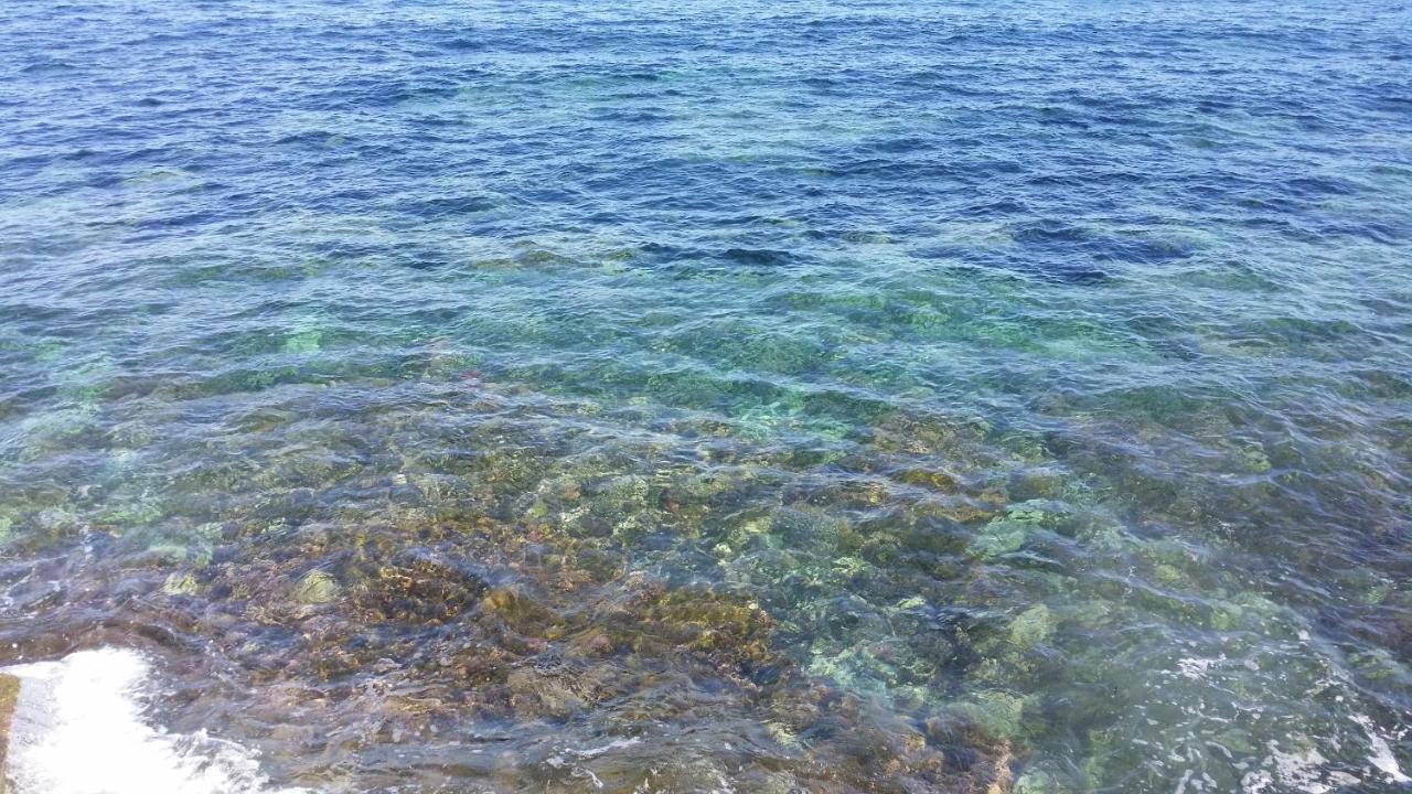 Almaran B&B Trapani Port & City Eksteriør billede